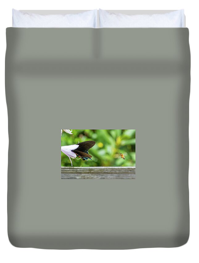 Butterfly Duvet Cover featuring the photograph Butterfly and Bee by D K Wall