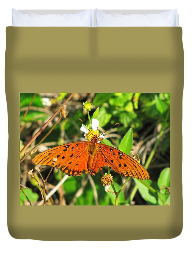 Butterfly Duvet Cover featuring the photograph Butterfly at Canaveral National Seashore by Christopher Mercer