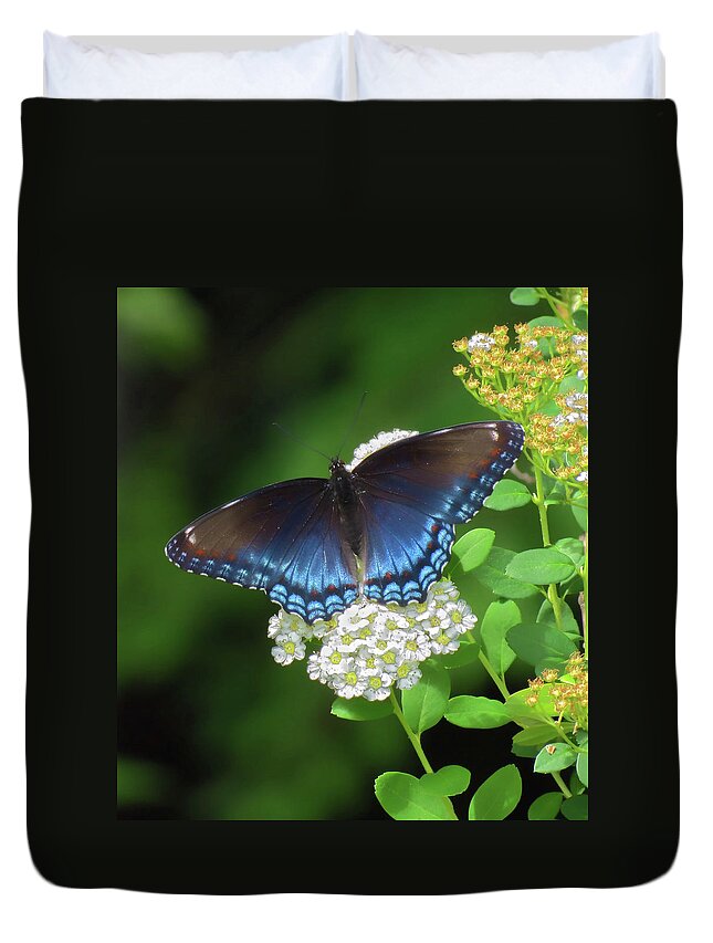 Butterfly Duvet Cover featuring the photograph Butterfly Blue - Red Spotted Admiral by MTBobbins Photography