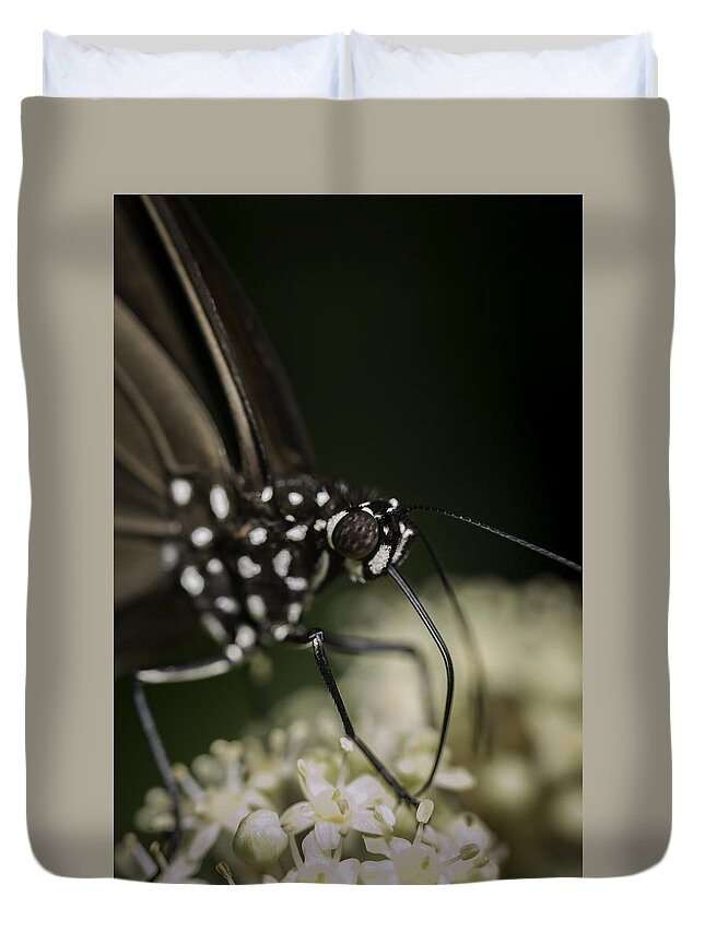 Macro Duvet Cover featuring the photograph Butterfly by Chris Cousins