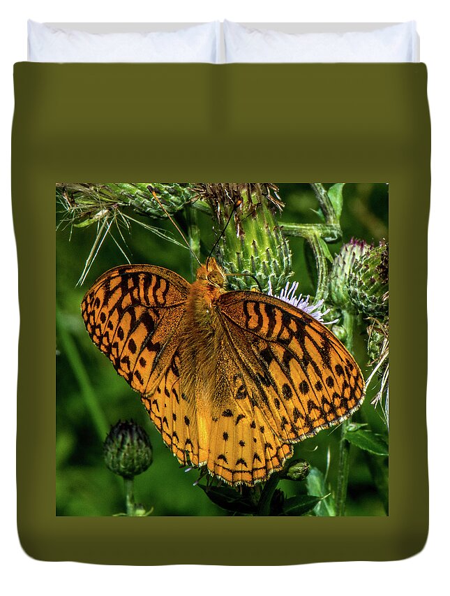 Butterfly Close Up Duvet Cover featuring the photograph Butterfly Close up by Paul Freidlund