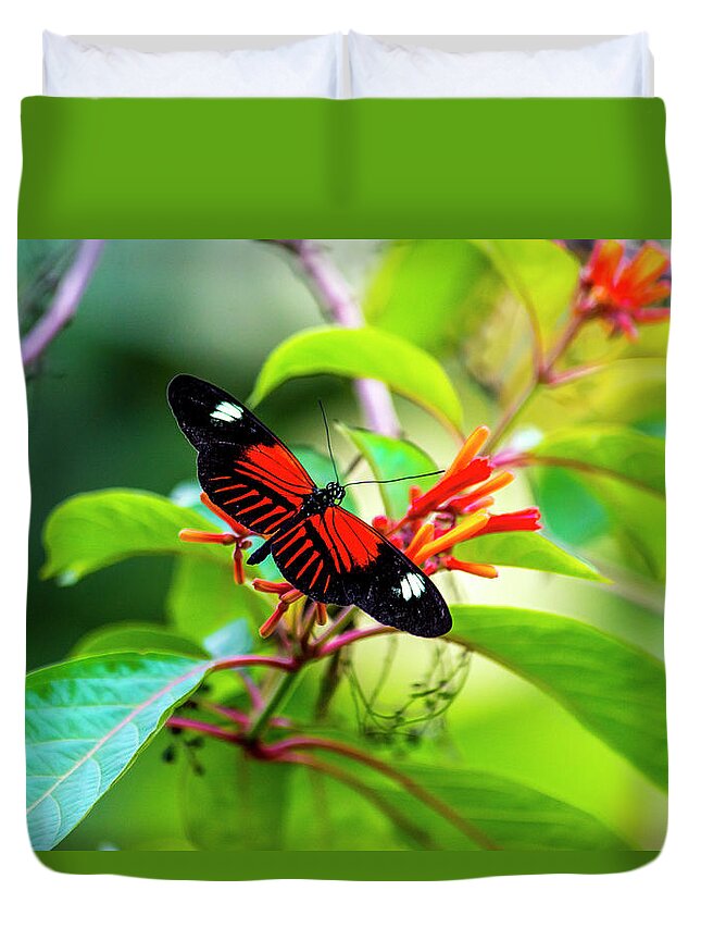 Cockrell Butterfly Center Duvet Cover featuring the photograph Butterfly by David Morefield