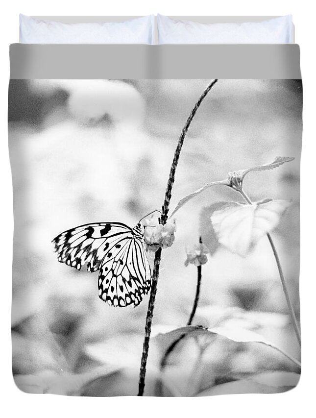 Butterfly Duvet Cover featuring the pyrography Butterfly Eatting by Joseph Caban