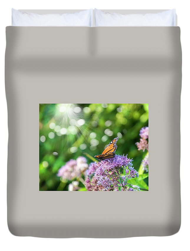 Butterfly Duvet Cover featuring the photograph Butterfly Light by Cathy Kovarik