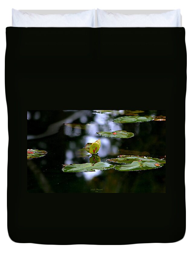 Lily Pad Duvet Cover featuring the photograph Butterfly Lily Pad by Jeanette C Landstrom