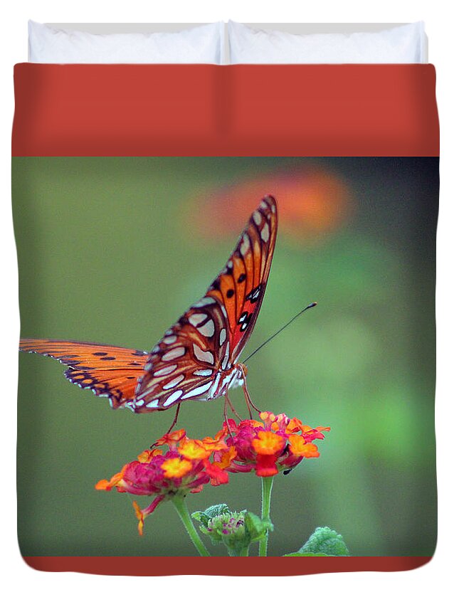 Butterfly Duvet Cover featuring the photograph Butterfly Majestic by DB Hayes