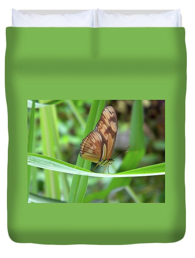 Butterfly Duvet Cover featuring the photograph Butterfly by Manuela Constantin