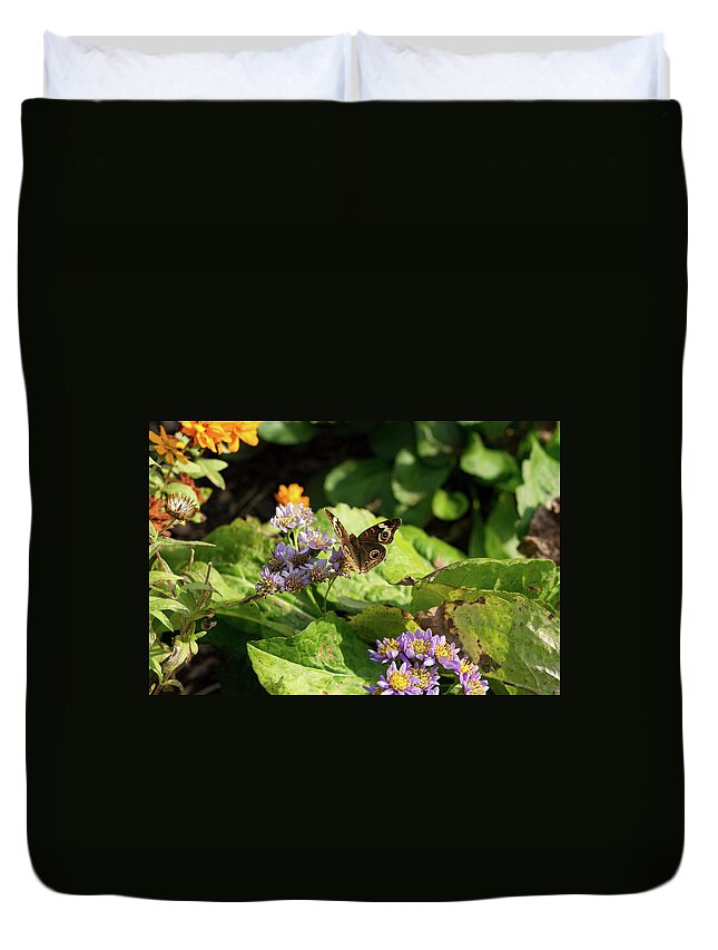 Butterfly Duvet Cover featuring the photograph Butterfly Moth by Karen Ruhl