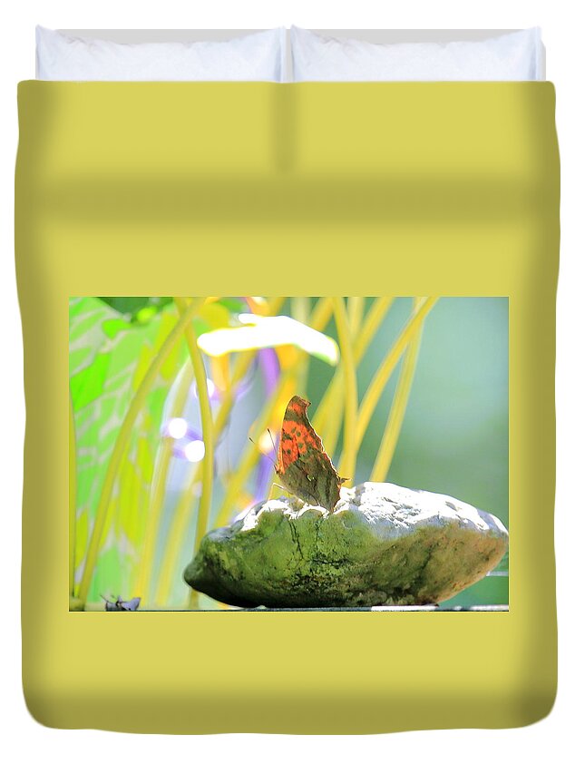 Butterfly On Rock Duvet Cover featuring the photograph Butterfly on Rock by PJQandFriends Photography
