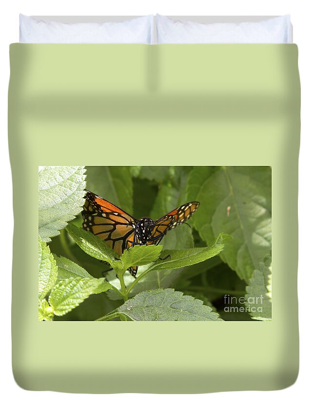 Butterfly Duvet Cover featuring the photograph Butterfly Peeking Through Leaves by Karen Foley