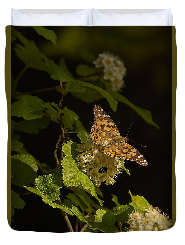 Butterfly Duvet Cover featuring the photograph Butterfly2 by Loni Collins