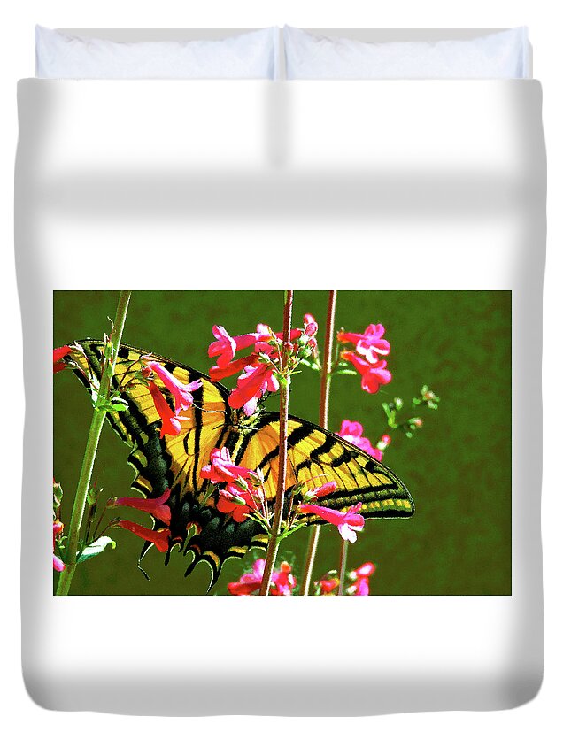 Butterfly Duvet Cover featuring the photograph Butterfly's Dream by Patricia Haynes