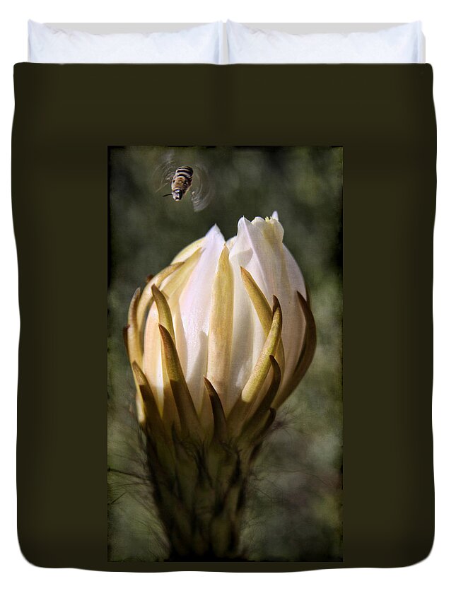 Cactus Bloom Duvet Cover featuring the photograph Buzzz by Tammy Espino