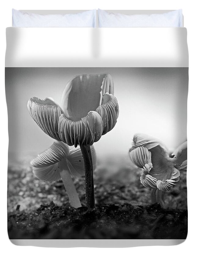 Mushroom Duvet Cover featuring the photograph BW Mushroom - 365- 232 by Inge Riis McDonald