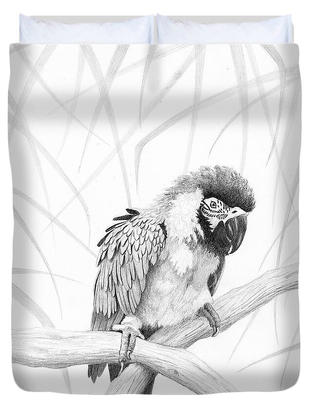 Parrot Duvet Cover featuring the drawing BW Parrot by Phyllis Howard