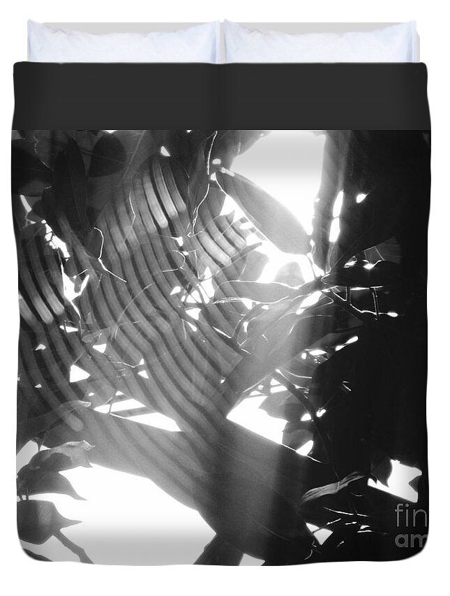 Cobwebs Duvet Cover featuring the photograph BW Radiance by Megan Dirsa-DuBois