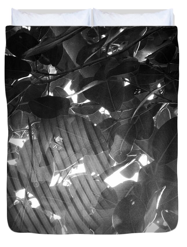 Cobwebs Duvet Cover featuring the photograph BW Shadow Threads by Megan Dirsa-DuBois
