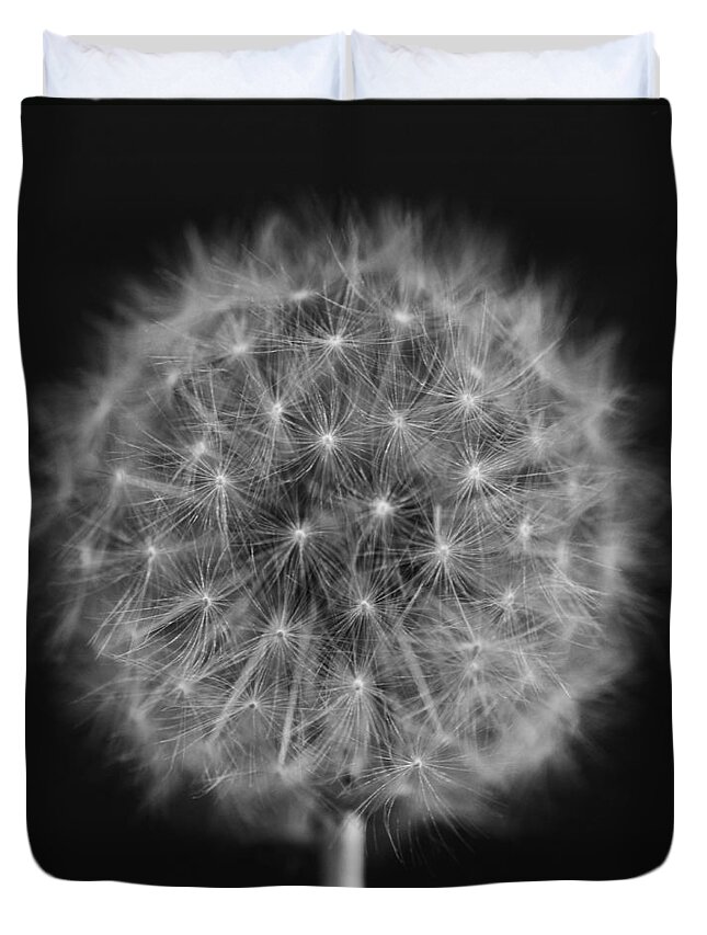 Dandelion Duvet Cover featuring the photograph Bw12 by Charles Harden