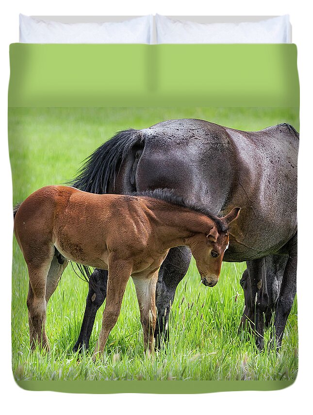 Horses Duvet Cover featuring the photograph By Mother's Side by Belinda Greb