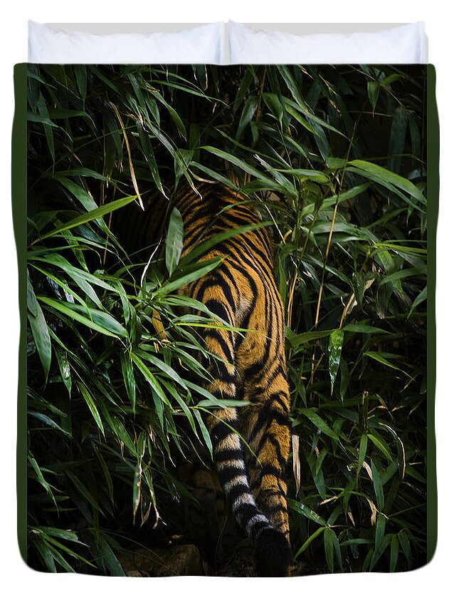 Asia Duvet Cover featuring the photograph Bye by Cheri McEachin