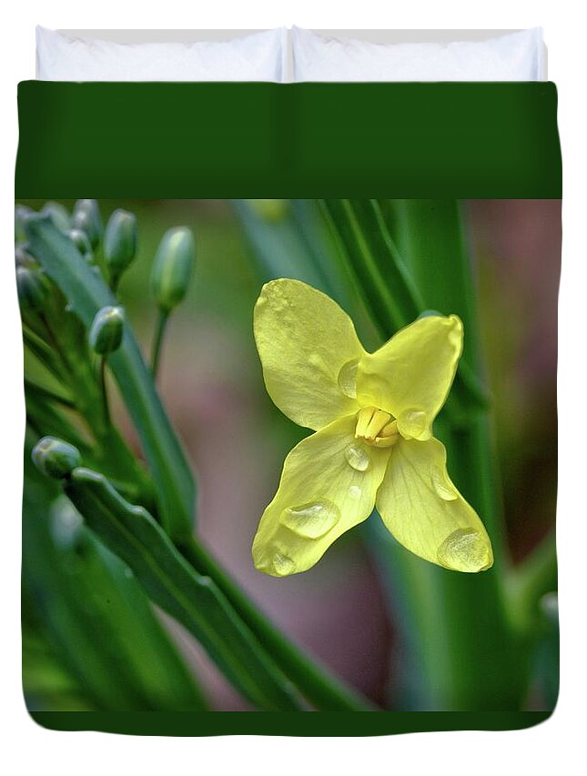 Flower Duvet Cover featuring the photograph Cabbage Blossom by Ludwig Keck