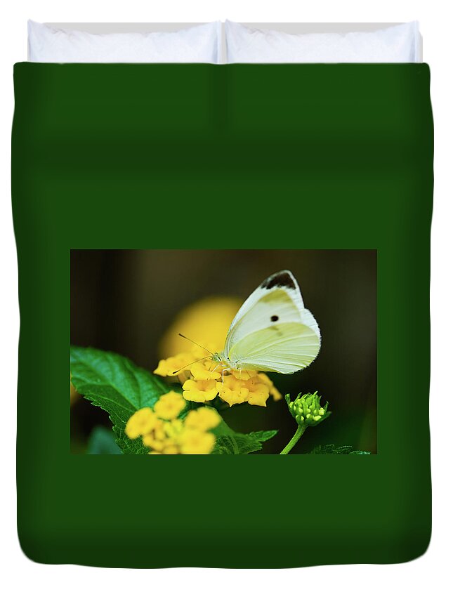 Cabbage White Butterflies Duvet Cover featuring the photograph Cabbage White Butterfly by Betty LaRue