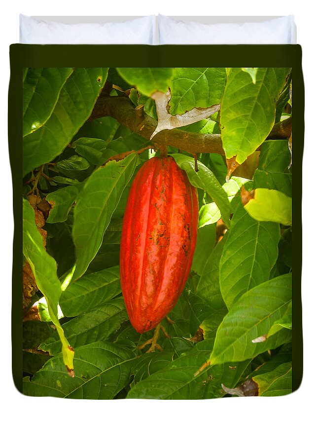 Cacao Duvet Cover featuring the photograph Cacao Pod by Pamela Newcomb