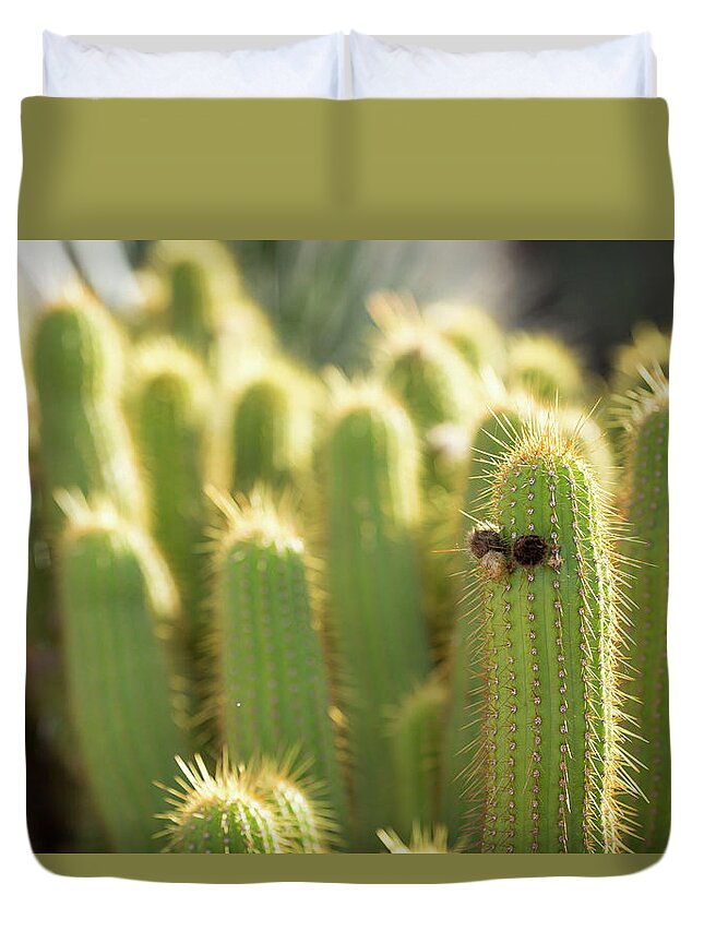 Cactus Duvet Cover featuring the photograph Cactus Incognito by The Flying Photographer