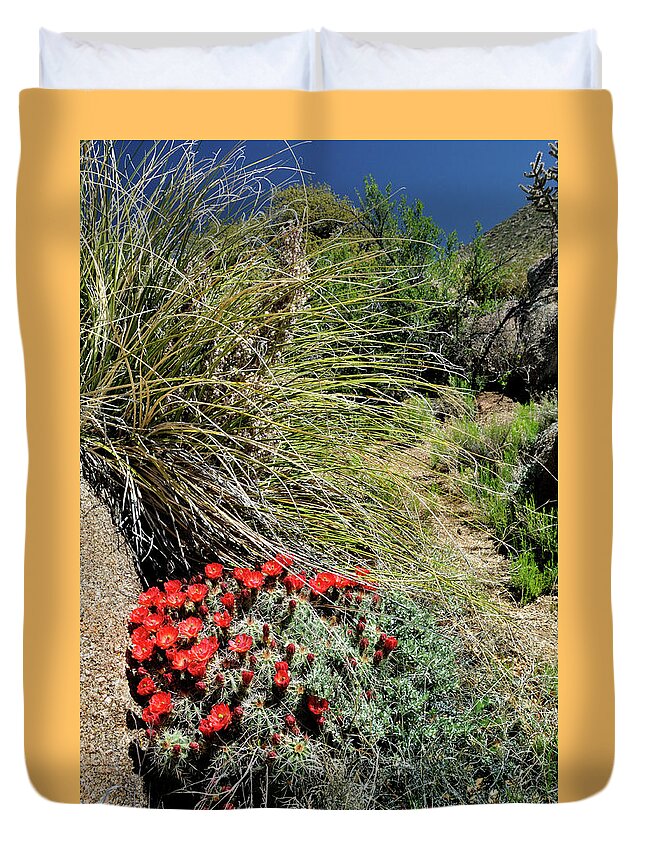 Landscape Duvet Cover featuring the photograph Crimson Barrel Cactus by Ron Cline
