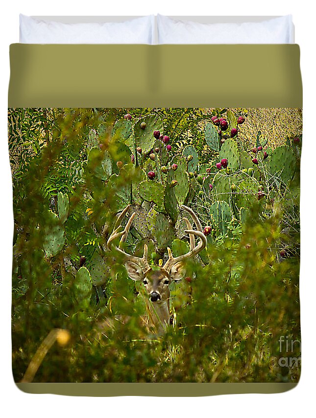 Michael Tidwell Photography Duvet Cover featuring the photograph Cactus Buck by Michael Tidwell