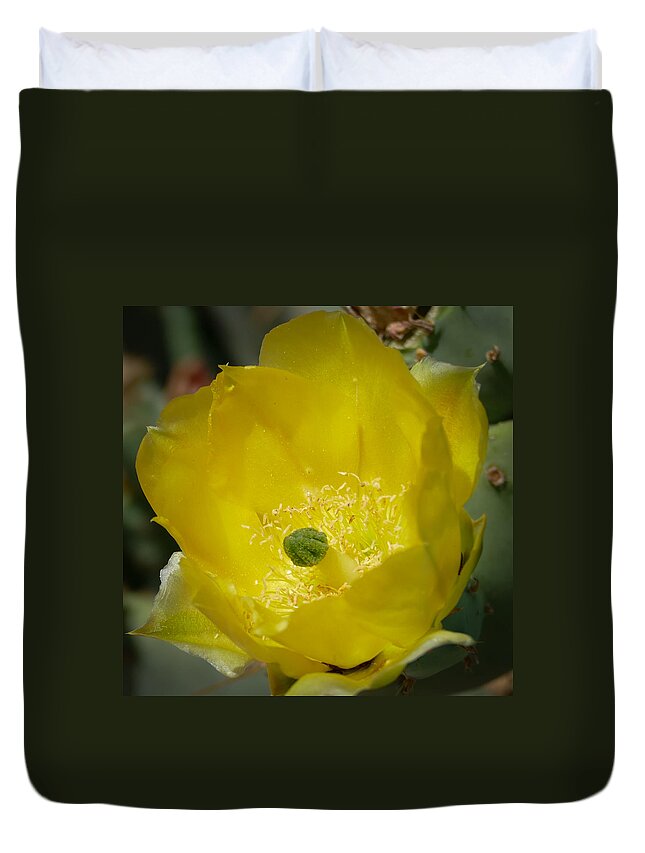 Cactus Duvet Cover featuring the photograph Cactus Flower by Laurel Powell