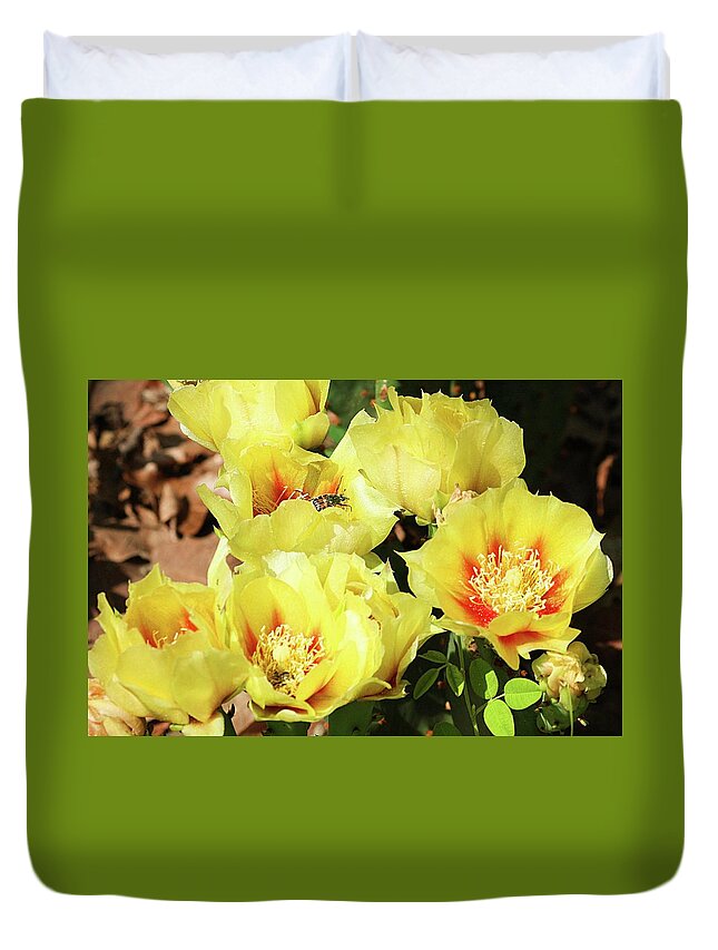 Nature Duvet Cover featuring the photograph Cactus Flowers and Friend by Sheila Brown
