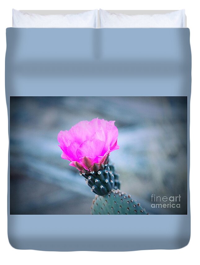 Cactus Duvet Cover featuring the photograph Cactus in Bloom by Marcia Breznay