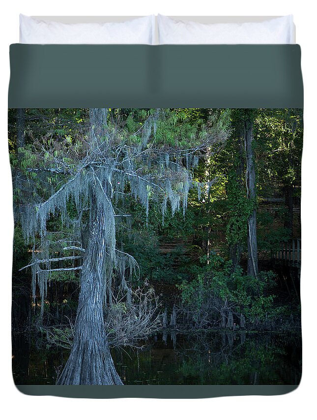 Swamp Trees Duvet Cover featuring the photograph Caddo Lake #1 by David Chasey