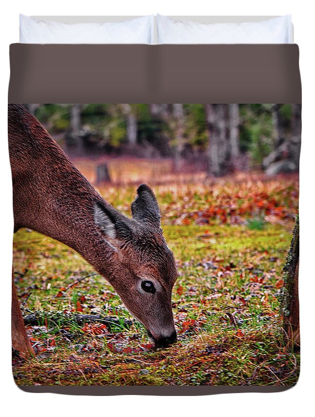 Deer Duvet Cover featuring the photograph Cades Cove - Morning Breakfast 001 by George Bostian