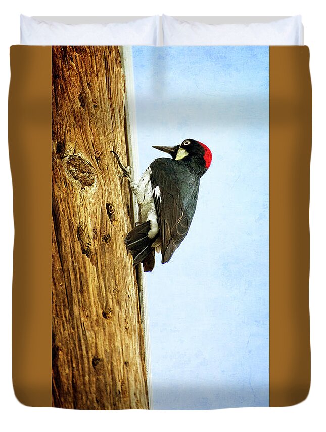 Bird Duvet Cover featuring the photograph California Acorn Woodpecker by Jim And Emily Bush