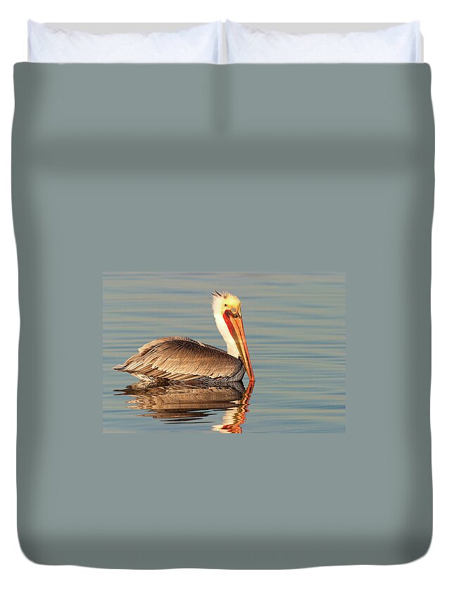 California Brown Pelican Duvet Cover featuring the photograph California Brown Pelican by Ram Vasudev