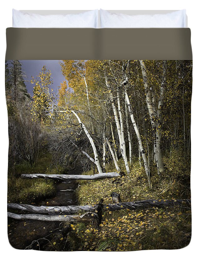 Aspen Duvet Cover featuring the photograph California Gold by Dusty Wynne