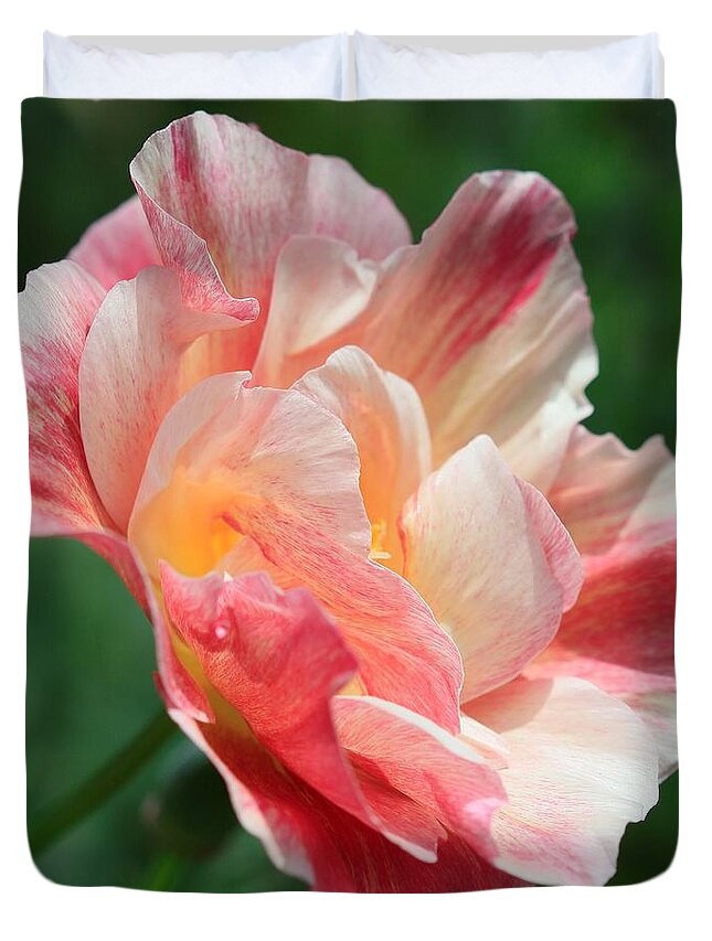 Mccombie Duvet Cover featuring the photograph California Poppy named Rosa Romantica by J McCombie