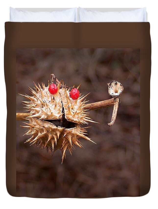 Call; Plant; Seed; Seed-pod; Pod; Phone; Personify; Jimson Duvet Cover featuring the photograph Call Me by Frances Miller