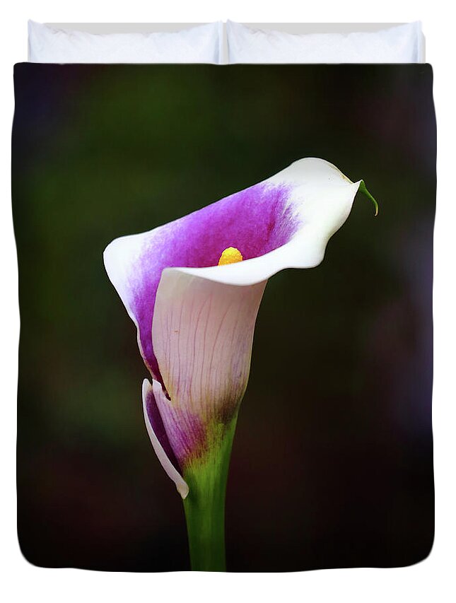 Calla Duvet Cover featuring the photograph Calla Lily by Jeff Townsend