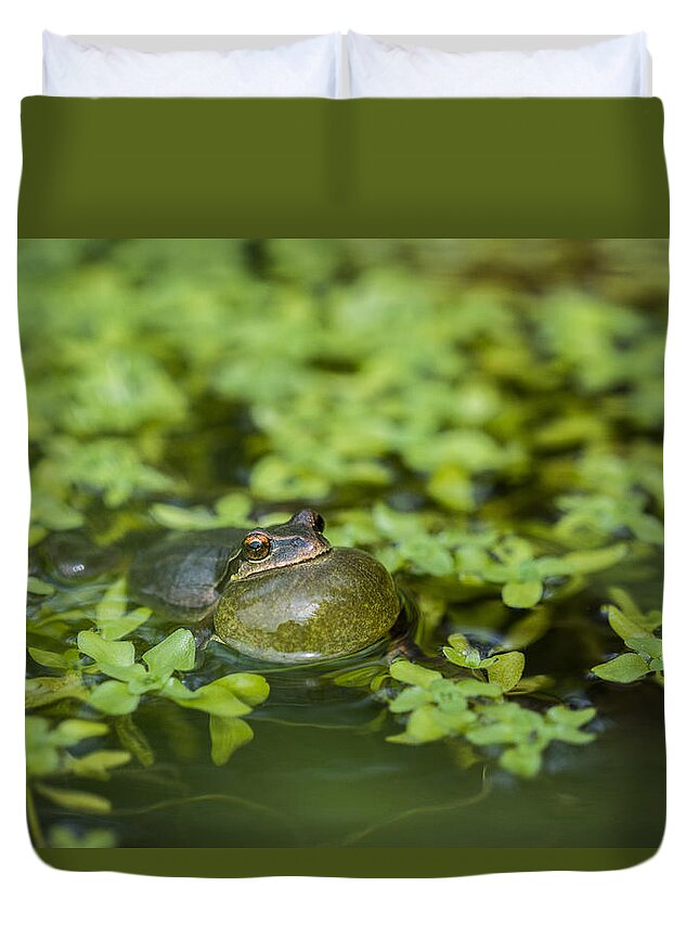 Courtship Duvet Cover featuring the photograph Calling Treefrog by Robert Potts
