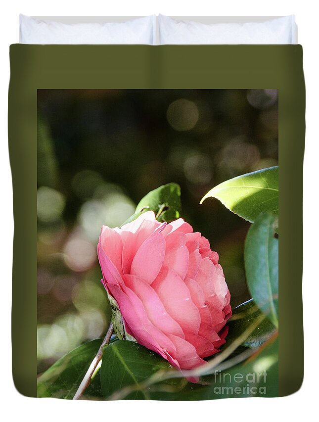 Closeup Duvet Cover featuring the photograph Camellia 4 by Andrea Anderegg