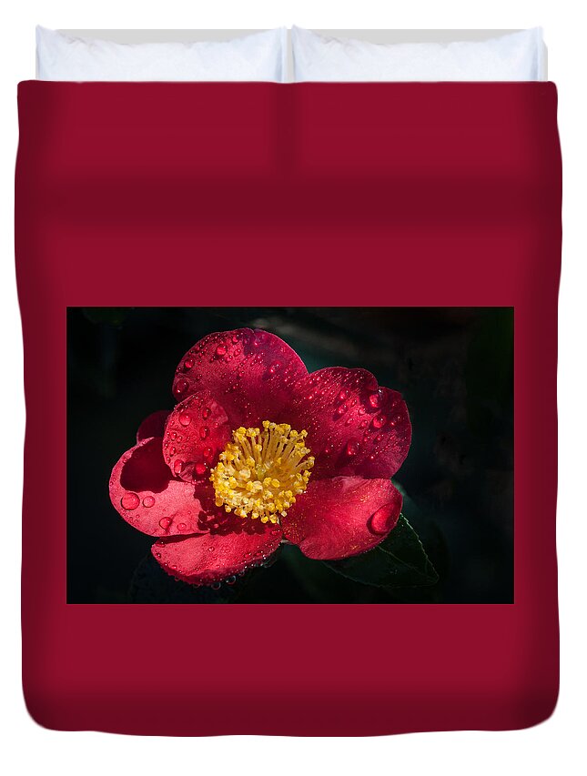 Red Flower Duvet Cover featuring the photograph Camellia In Rain by Catherine Lau