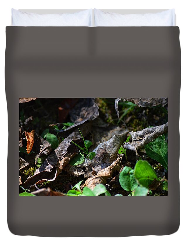 Bug Duvet Cover featuring the photograph Camo by Joseph Caban