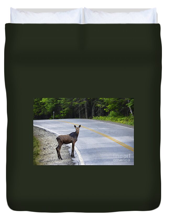 Male Duvet Cover featuring the photograph Can I Cross Now by Alana Ranney