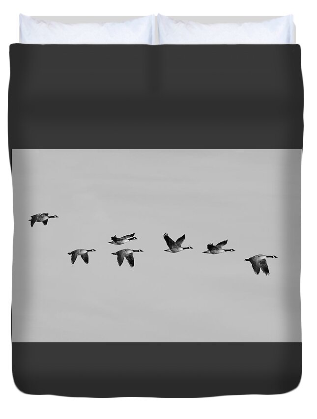 Canada Duvet Cover featuring the photograph Canada Geese in flight - Black and white - Monochrome by Ram Vasudev