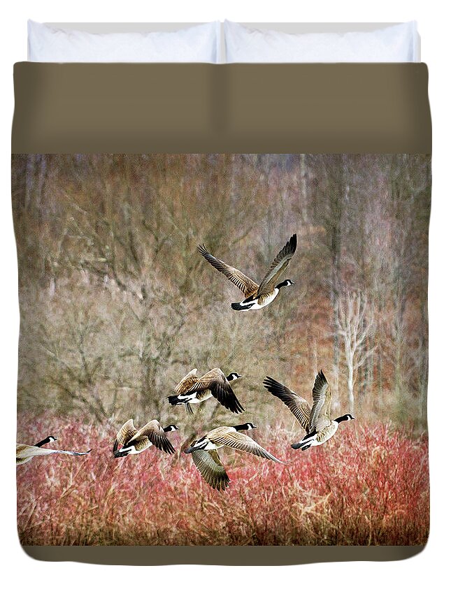 Canada Geese Duvet Cover featuring the photograph Canada Geese In Flight by Christina Rollo