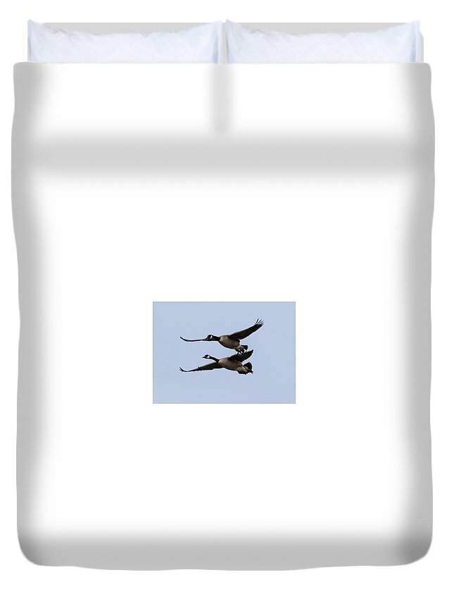 Canada Geese Duvet Cover featuring the photograph Canada Geese in Flight by Holden The Moment