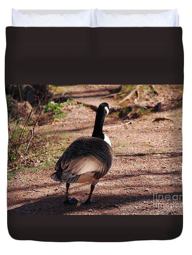 Canada Goose Duvet Cover featuring the photograph Canada Goose 20120406_63a by Tina Hopkins